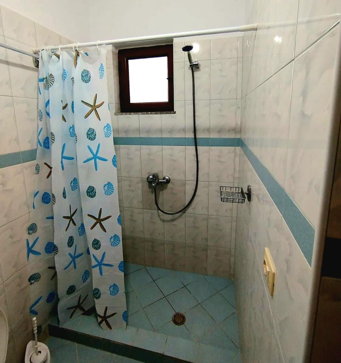 Garden Dhesara Apartment